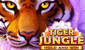 BNG (Boongo) slot - Tiger Jungle