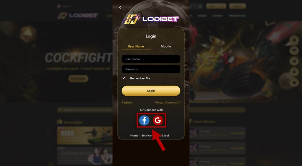 Google and FB login
