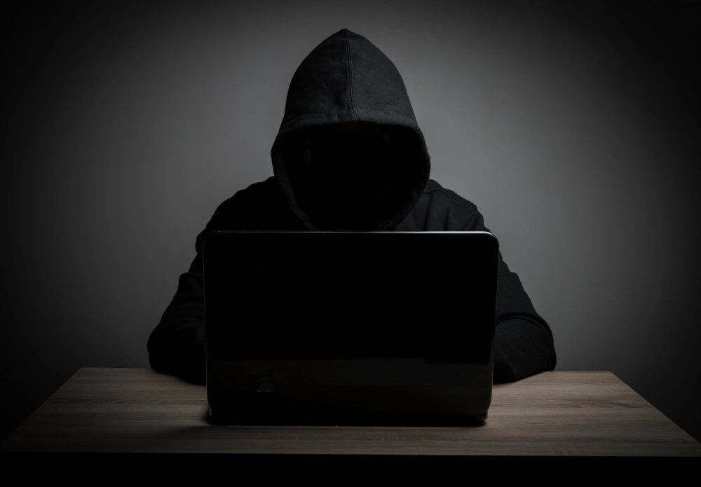 Alert 6 Serious Risks of Entering the Wrong Lodi646 Original Login URL