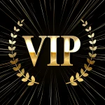 Lodi646 VIP Program - The Gold Standard for Online Casino Rewards